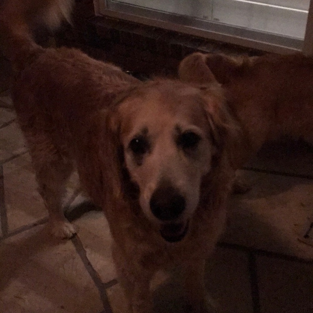 Meet your Posher, Cheri